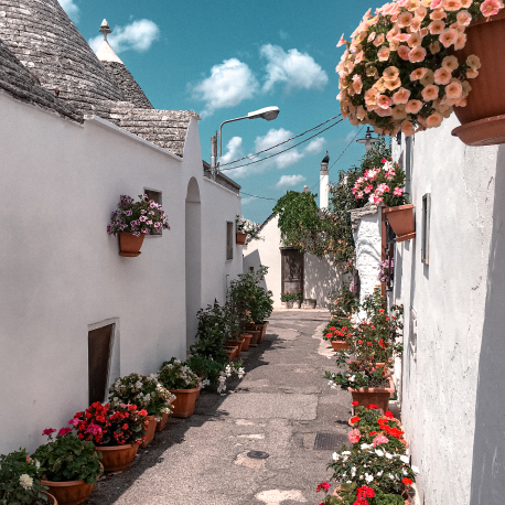 Gallery Ompath Travel